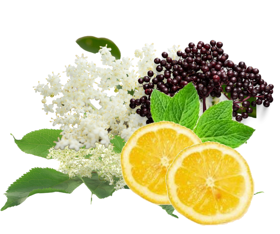 lemon-elderberry